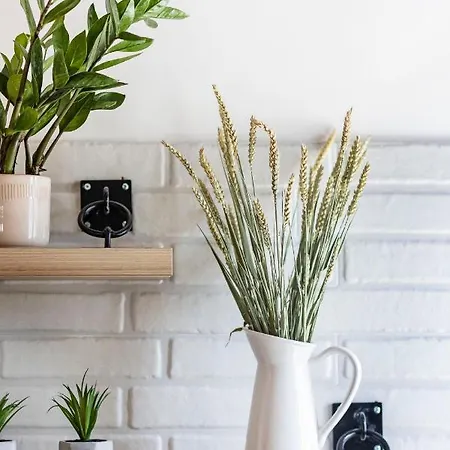 Pentanemi Loft, Corfu Old Town Corfu (city)