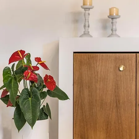 Apartment Pentanemi Loft, Corfu Old Town Corfu (city)