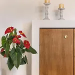 아파트 Pentanemi Loft, Corfu Old Town Corfu (city)